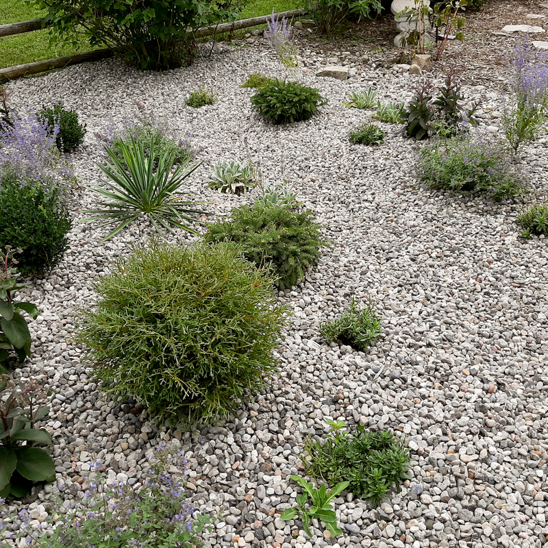 Garden Landscaping Reno