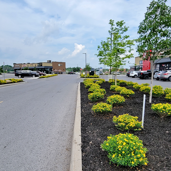 Wellington Rd Centre